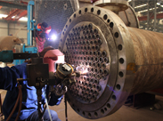 企鵝風采 企鵝風采